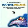 DOLPHINS WELLNESS