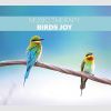 Music Therapy - Birds Joy ( Szczęście w Przestworzach )