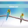 Music Therapy - Birds Joy ( Szczęście w Przestworzach )