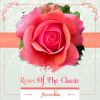  Roses of the Classic - Accordion